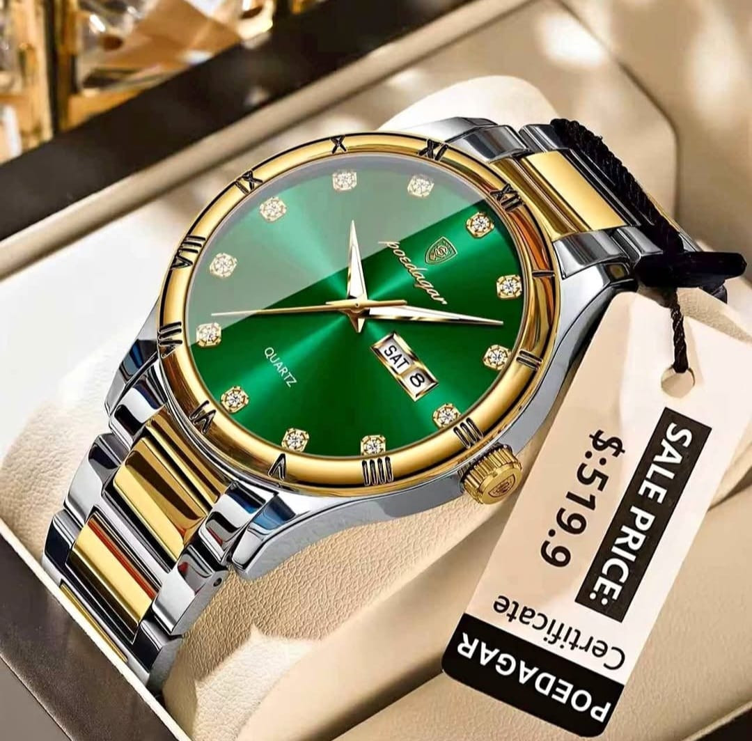 Poedagar Luxury Quartz Wrist Watch for Men